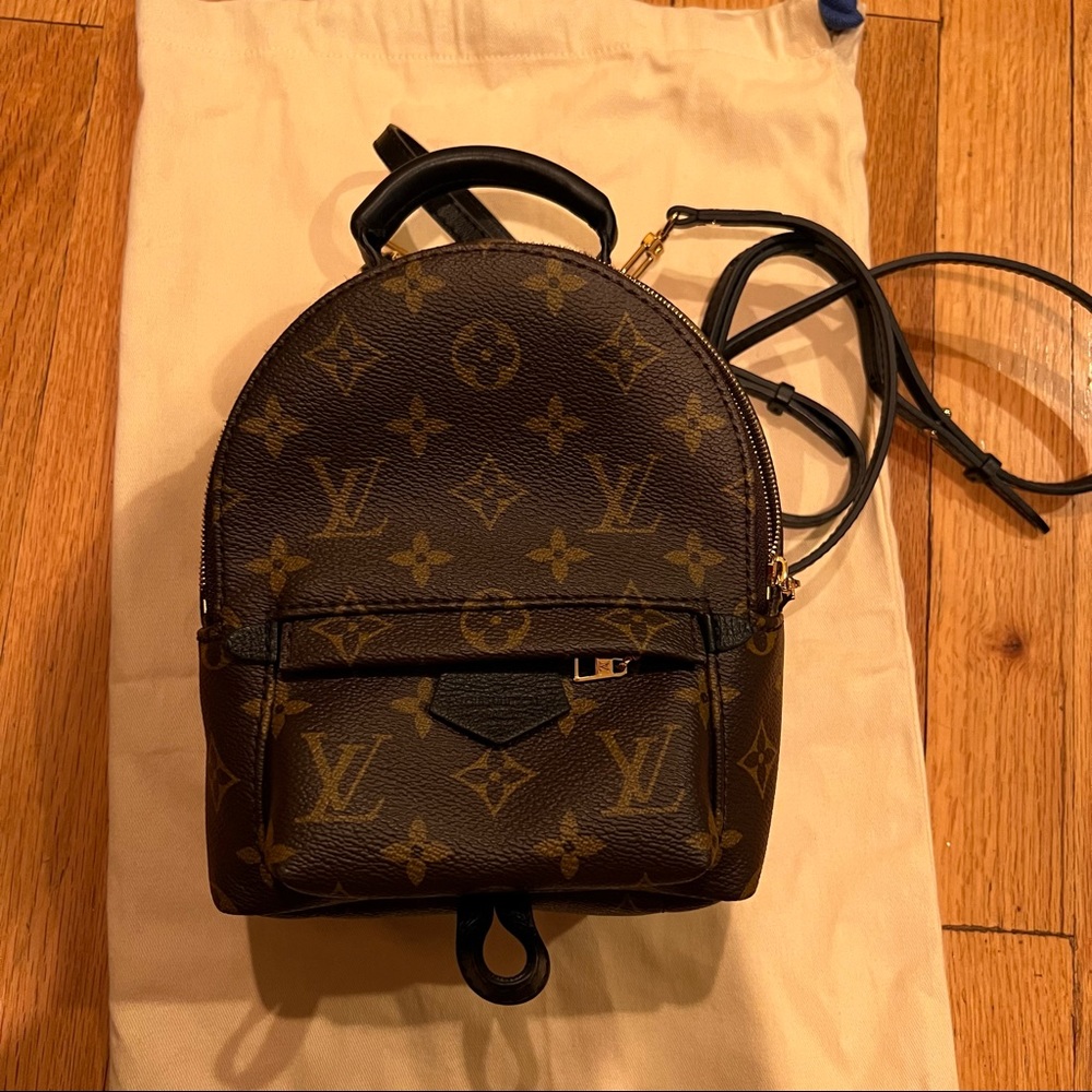LOUIS VUITTON PALM SPRING BACKPACK MONOGRAM